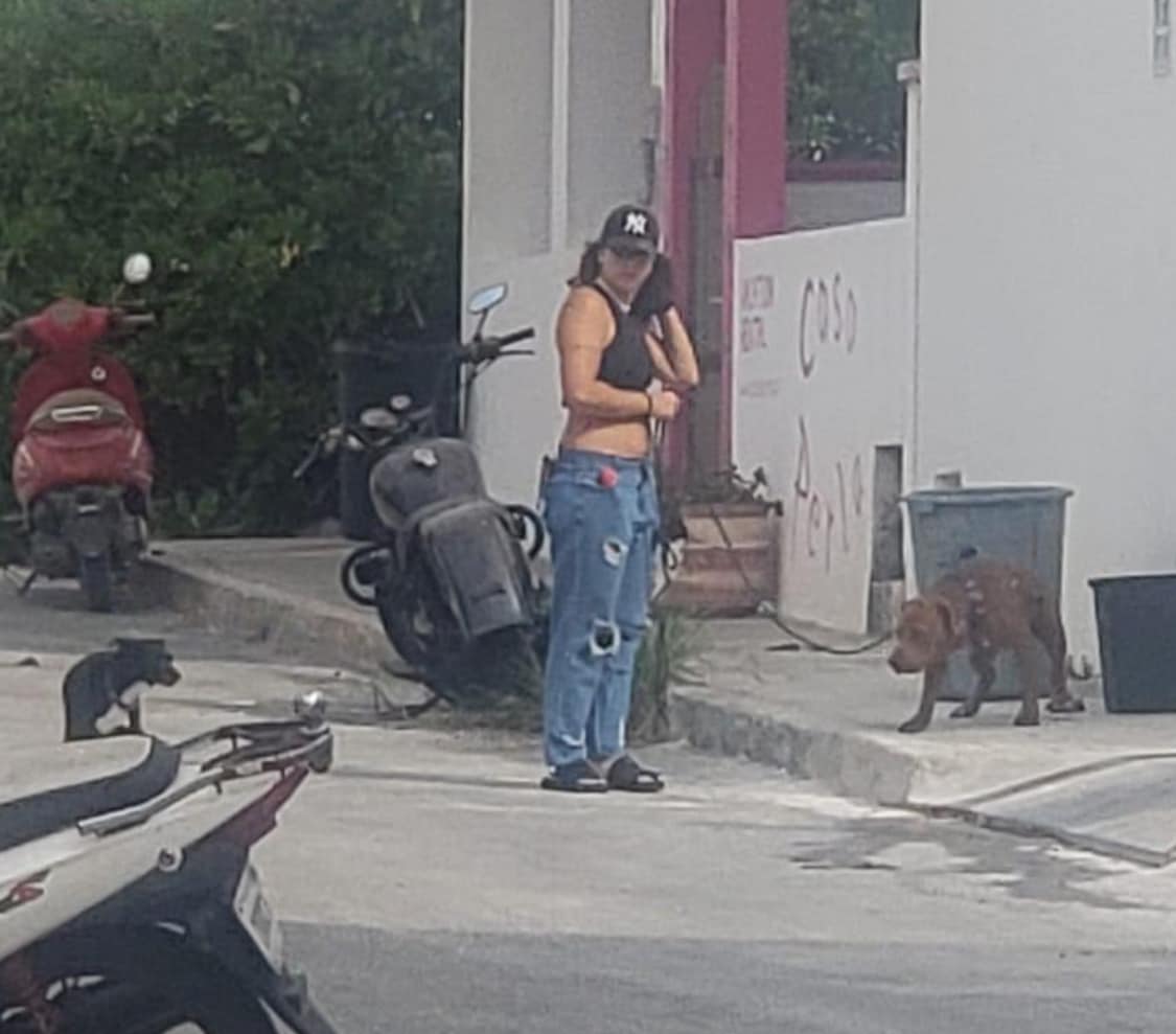 Dueños permiten que sus mascostas defequen en la vía pública sin que levanten el excremento!!